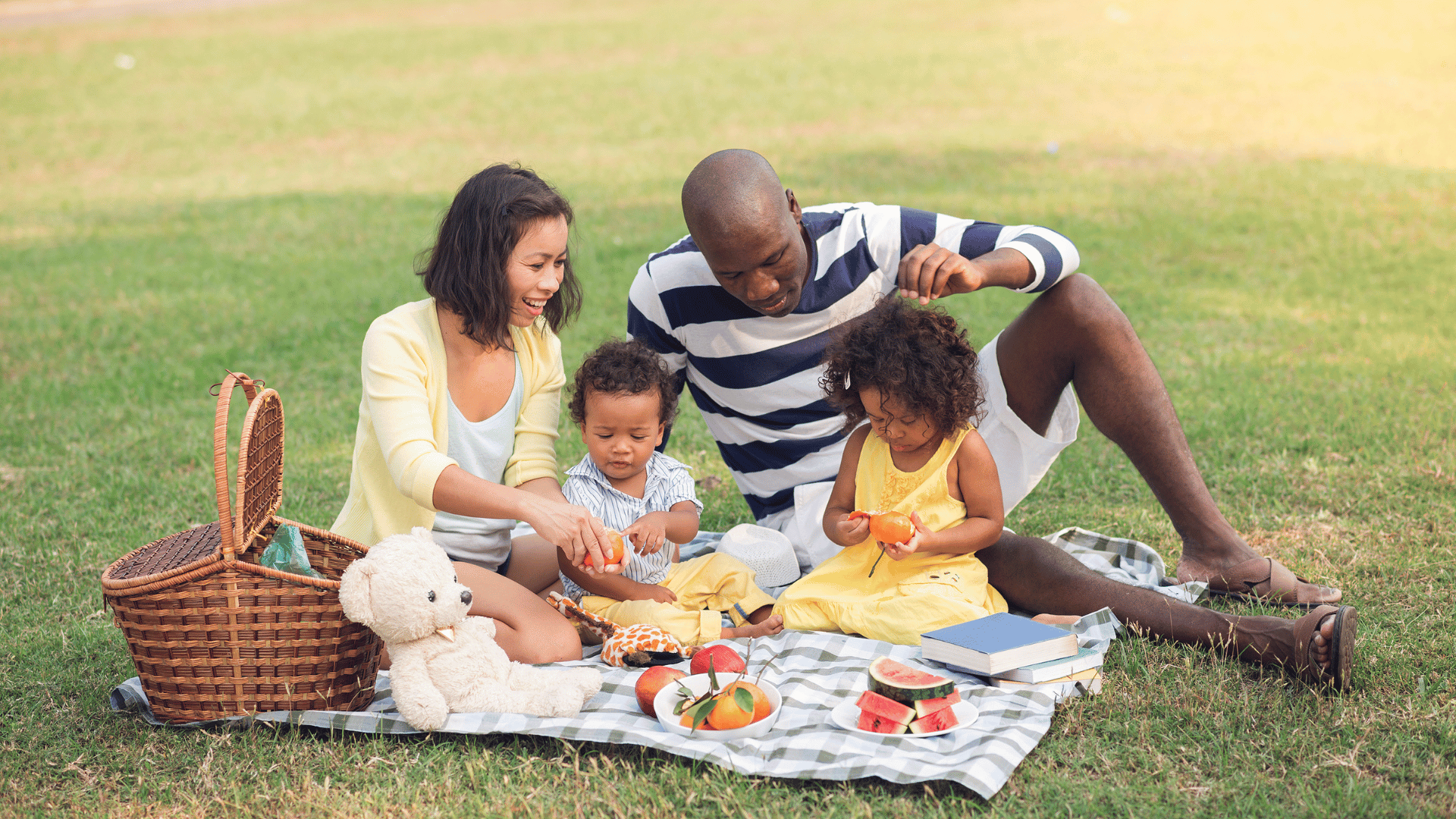 Family Picnic