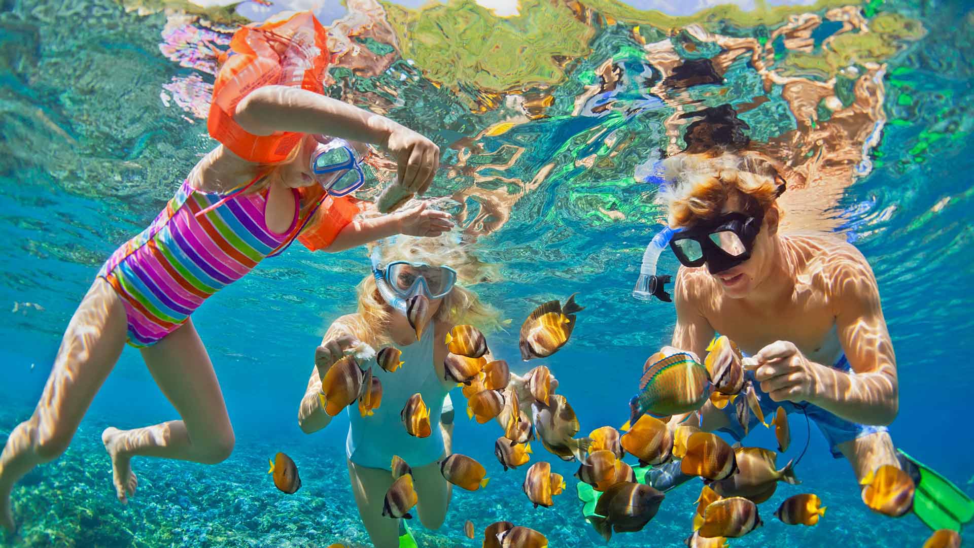 Family on vacation snorkeling with tropical fish